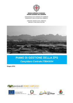 PdG_ZPS Campidano Centrale_20140715