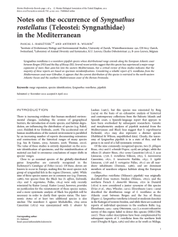 Apolit&igrave;a and Tradition in Julius Evola as Reaction to Nihilism