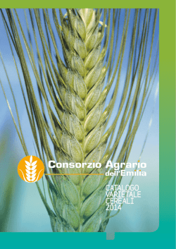 di frumento tenero , duro, orzo, triticale, riprodotte nella nostra azienda