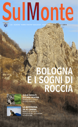 BOLOGNA E I SOGNI DI ROCCIA