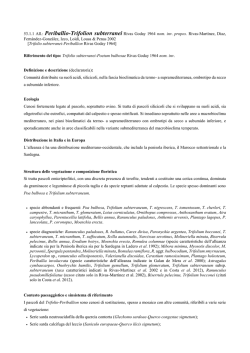 53.1.1 Periballio-Trifolion subterranei