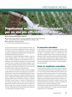 Popolazioni microbiche della rizosfera per un uso pi&ugrave; efficiente dell