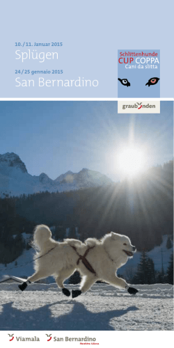 Spl&uuml;gen San Bernardino