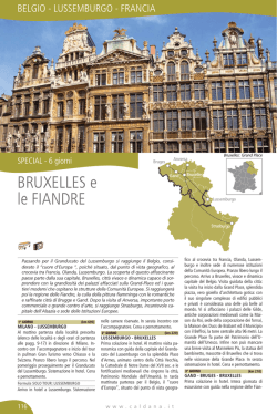 BRUXELLES e le FIANDRE