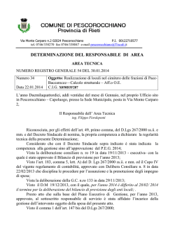 determinazione del responsabile di area