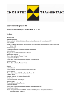 Coordinamento gruppi ITM Videoconferenza skype