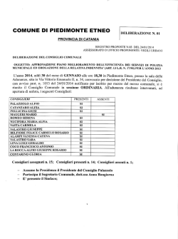 approvazione piano miglioramento efficienza dei servizi di polizia
