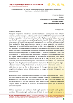 Leggi la relazione completa.