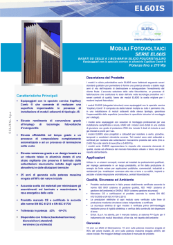 EL60IS - Pufin Power| MAASTRICHT