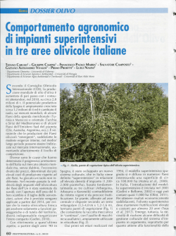 Comportamento agronomico di impianti superintensivi in tre aree