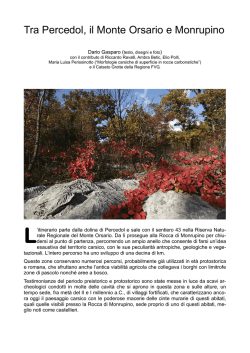 Escursione Orsario 26 10 2014