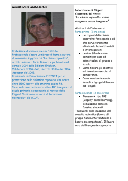 MAURIZIO MAGLIONI - Book In Progress