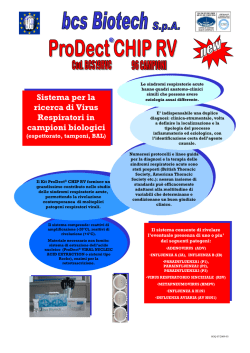 Scarica il file: ita_chip_rv_03