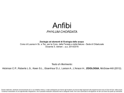 Anfibi - Sabina Universitas