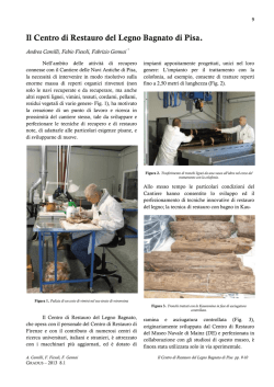 Il Centro di Restauro del Legno Bagnato di Pisa.