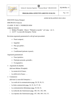 SQ 004 PROGRAMMA SVOLTO IVC RIM
