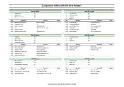 Gruppi Serie Amatori