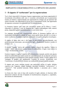 impianto cogenerativo a cippato di legno