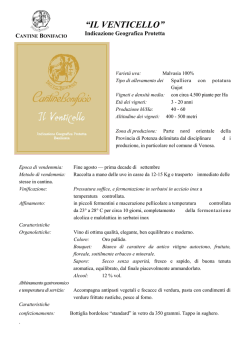 scheda tecnica - Cantine Bonifacio