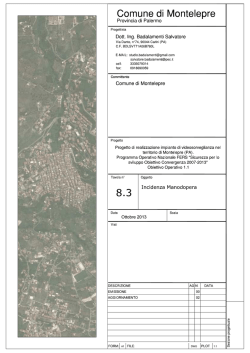 E:\Documenti_E\Lav in Corso\VideoSorveglianza Montelepre