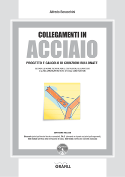 Collegamenti in Acciaio