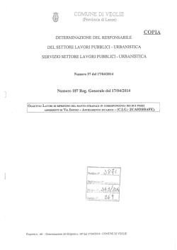 File: Det. R.G. 187-2014 affidamento incarico e