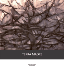 Scarica catalogo in PDF