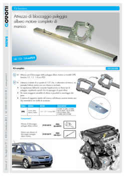 Attrezzo di bloccaggio puleggia albero motore completo di