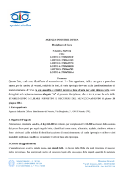 333_Disciplinare  - Agenzia Industrie Difesa