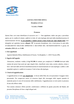 Disciplinare - Agenzia Industrie Difesa