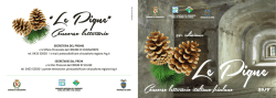 "LE PIGNE " 2014 - XXIV^ edizione