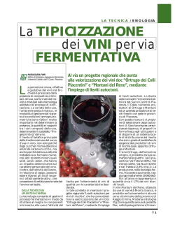 Lieviti autoctoni per vini di nicchia