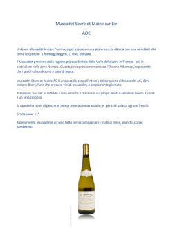 Muscadet Sevre et Maine sur Lie AOC