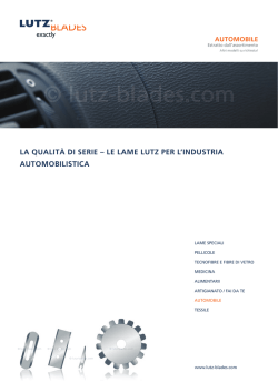 Automobile - LUTZ BLADES