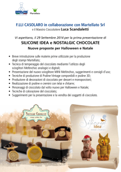 F.LLI CASOLARO in collaborazione con Martellato Srl SILICONE