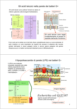 Lezione 2 (1 ottobre 2014)