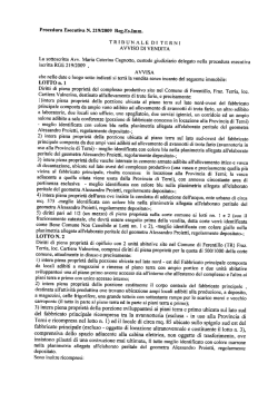Procedura Esecutiva N. 219/2009 Reg.Es.lmm. TRIBUNALE DI
