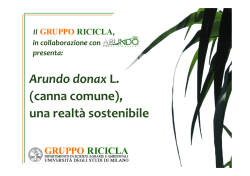 Arundo per&hellip; biogas