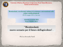 25 mM NaCl +EM - Test sulla sicurezza