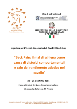 "Back Pain: il mal di schiena come causa di disturbi