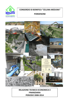 pordenone relazione tecnico-economica e finanziaria periodo 2008