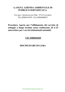 Disciplinare di gara noleggio autovetture