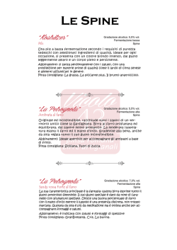 Le birre del Vicolo 43