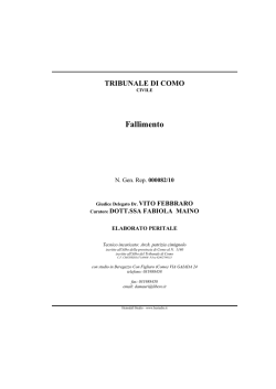 Perizia - Fallimenti in rete