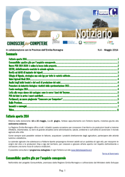 n.4 Maggio 2014