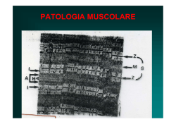 PATOLOGIA MUSCOLARE