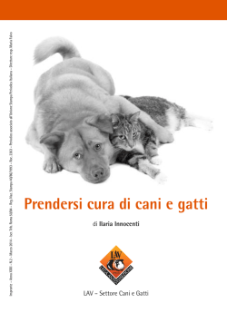 Prendersi cura di cani e gatti