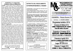Volantino MCL 1-2014