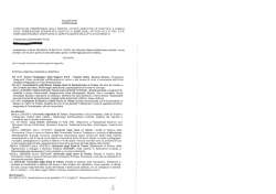 CV Pace Alessandro - Universit&agrave; di Udine