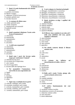 Scarica il test nel formato PDF